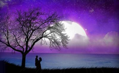 lucioles dans le ciel