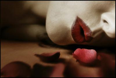 le n�ant de c�ans