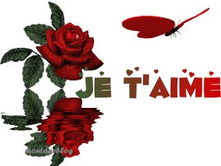 je l'aime