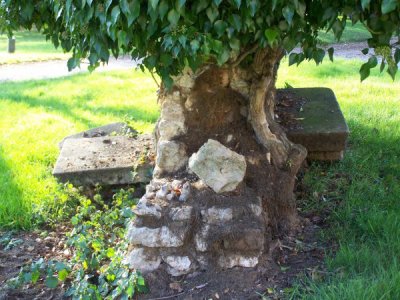 au creu de mon arbre